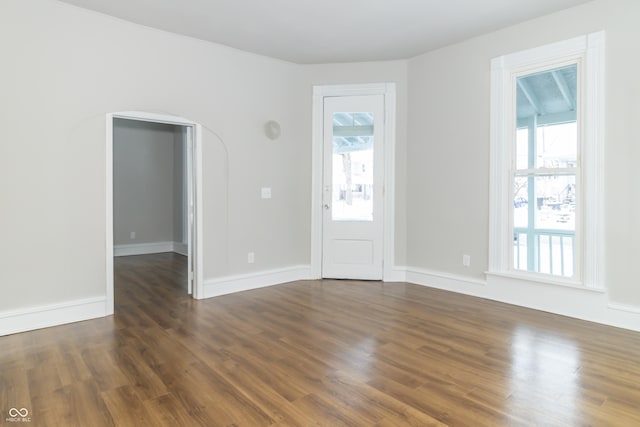 foyer with plenty of natural light and dark wood-type flooring