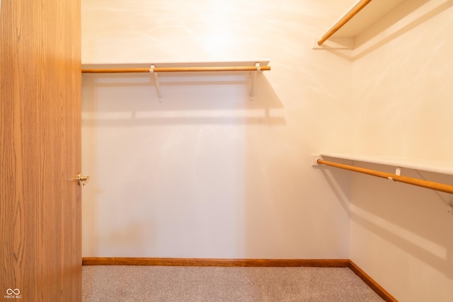 walk in closet with carpet floors