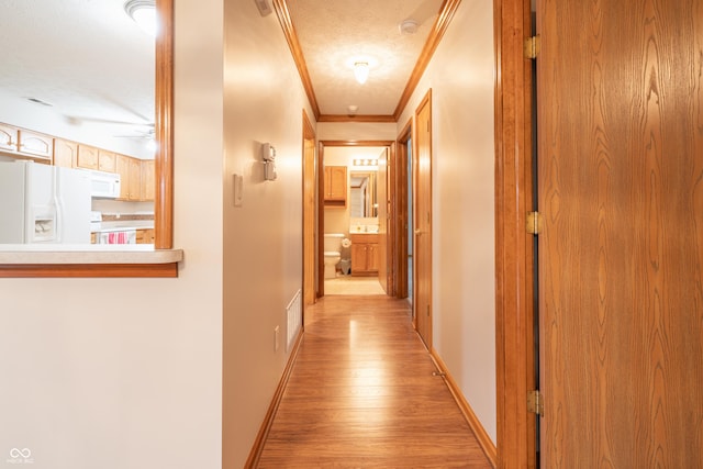 corridor featuring crown molding, light hardwood / wood-style floors, and a textured ceiling