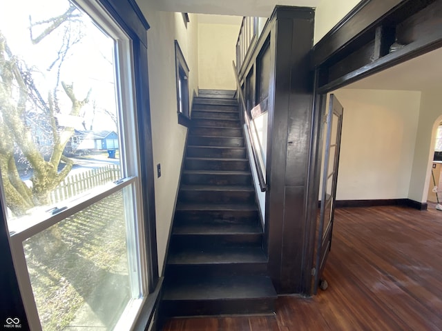 staircase featuring wood-type flooring