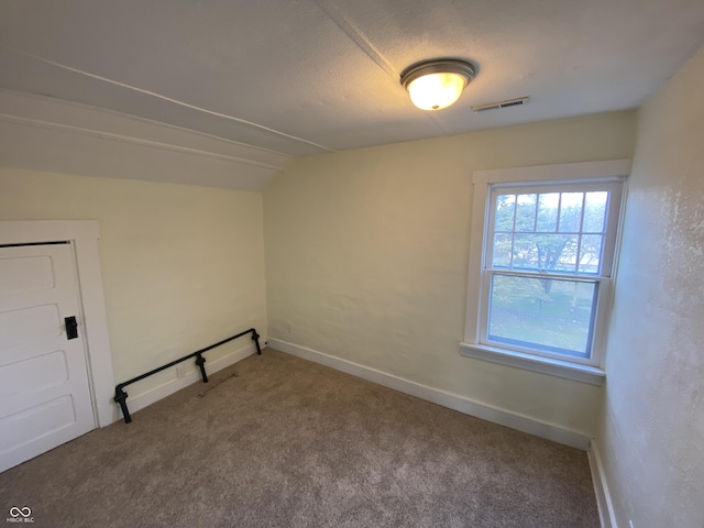 additional living space with carpet flooring, lofted ceiling, and a textured ceiling