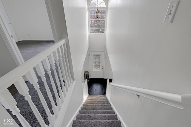 stairs with carpet floors