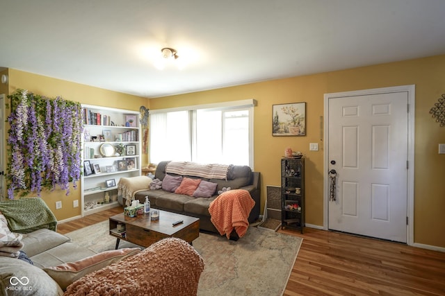 living room with wood-type flooring