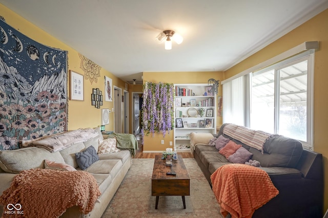 living room featuring wood-type flooring