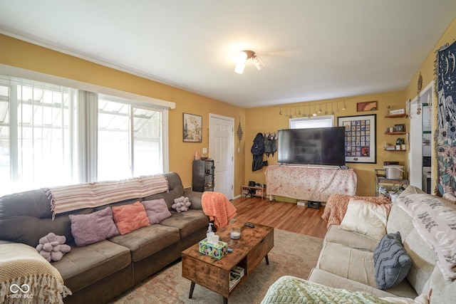 living room with plenty of natural light and light hardwood / wood-style flooring