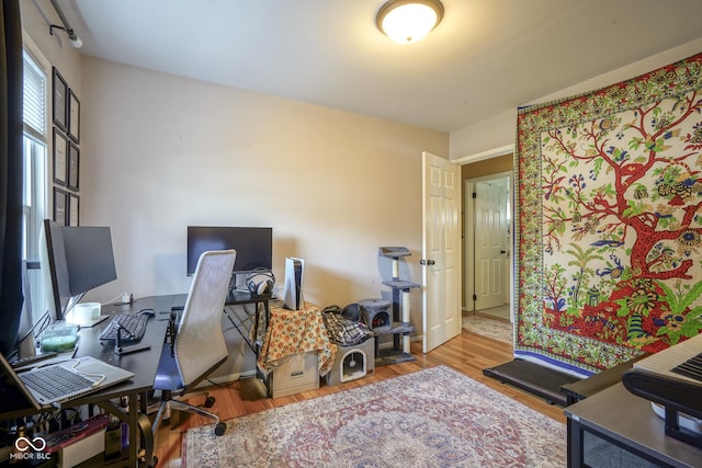 home office featuring hardwood / wood-style flooring