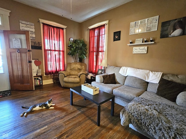 living room with dark hardwood / wood-style flooring