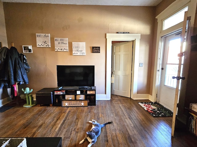 living room featuring dark wood-type flooring