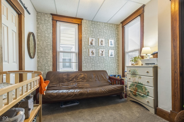 sitting room with a wealth of natural light, a drop ceiling, and carpet floors