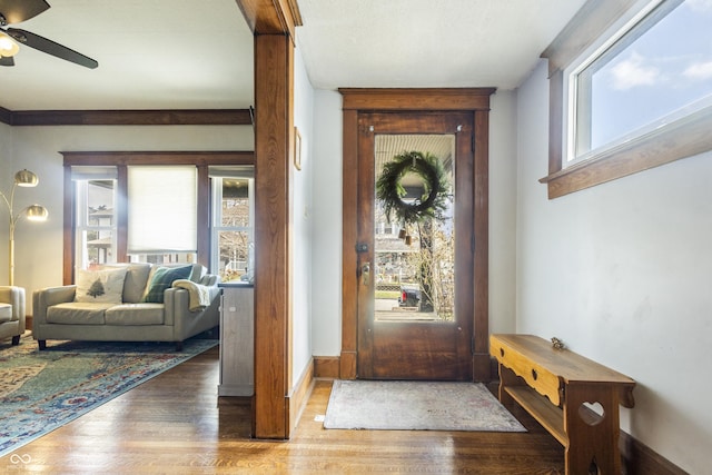 foyer entrance featuring hardwood / wood-style floors and ceiling fan