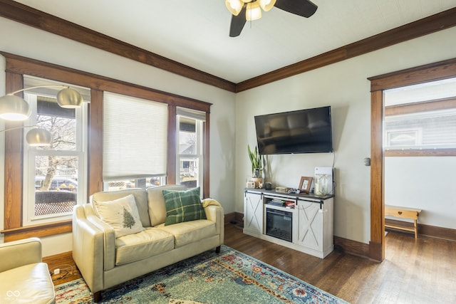 living room featuring dark hardwood / wood-style flooring, ceiling fan, and crown molding