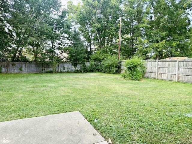 view of yard featuring a patio