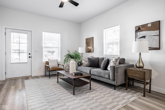 living room with ceiling fan and light hardwood / wood-style floors