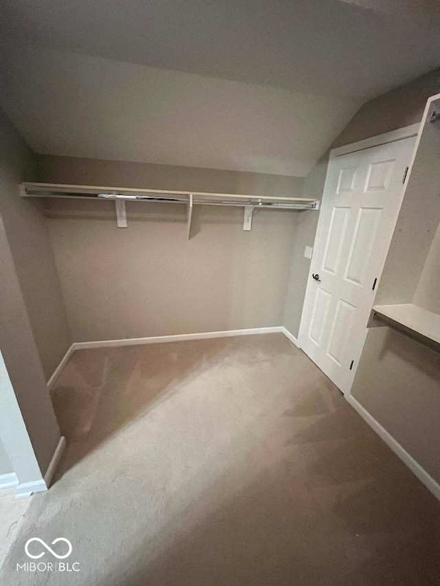 spacious closet featuring carpet and vaulted ceiling