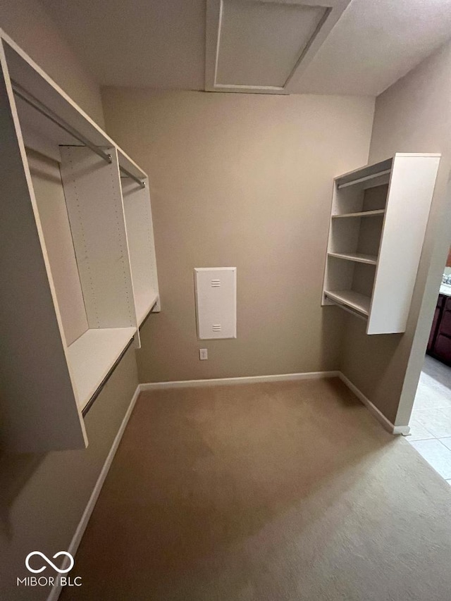 walk in closet featuring light carpet