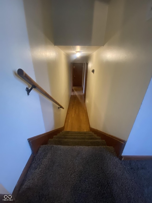 staircase featuring wood-type flooring