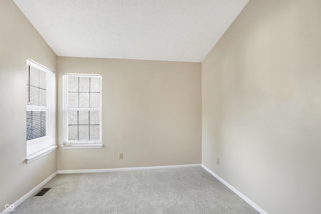 carpeted spare room with a healthy amount of sunlight