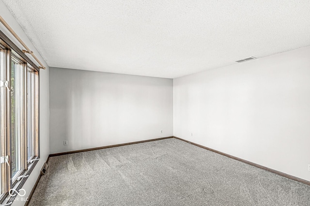 spare room featuring carpet flooring, a wealth of natural light, and a textured ceiling