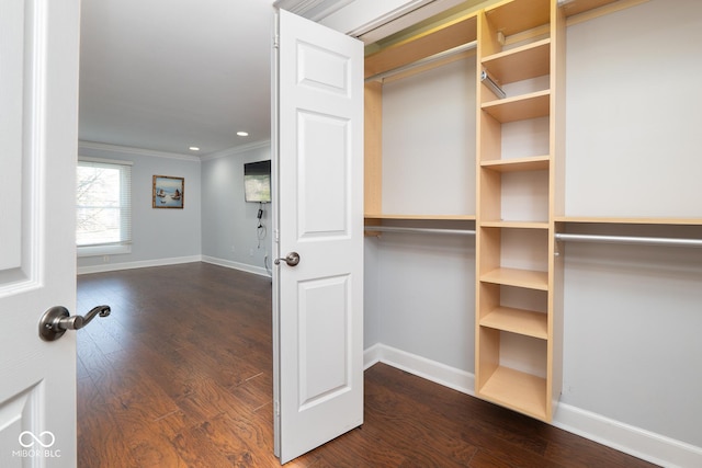 walk in closet with dark wood-type flooring