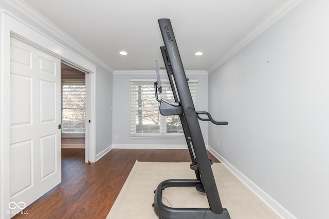 exercise area featuring crown molding and dark hardwood / wood-style floors