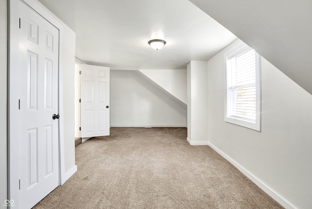 additional living space with carpet