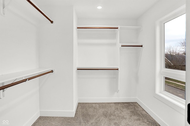 spacious closet featuring light carpet