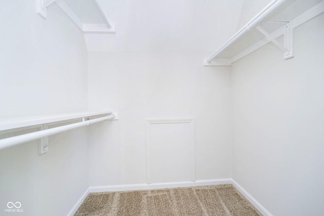 walk in closet with carpet floors