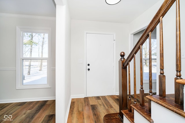 foyer with crown molding and wood-type flooring