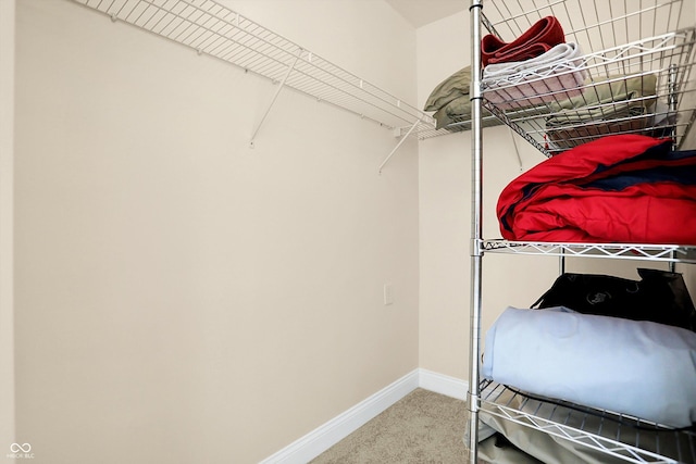 walk in closet featuring carpet flooring