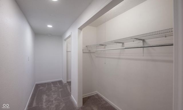 walk in closet featuring dark colored carpet