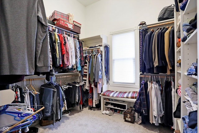 walk in closet featuring carpet floors