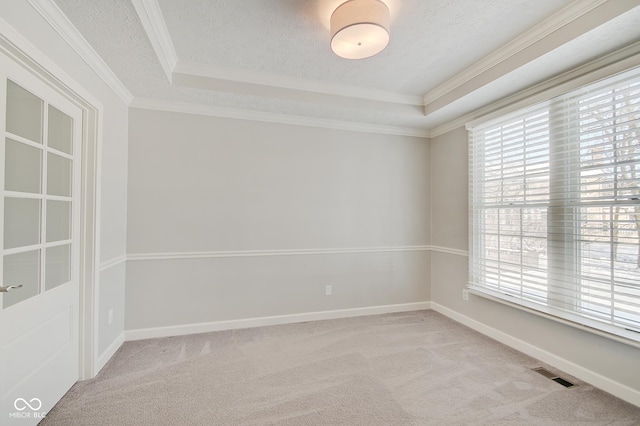 spare room with light colored carpet, a raised ceiling, ornamental molding, and a textured ceiling