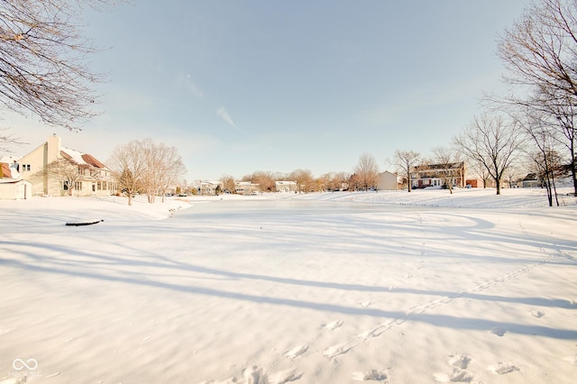 view of yard covered in snow