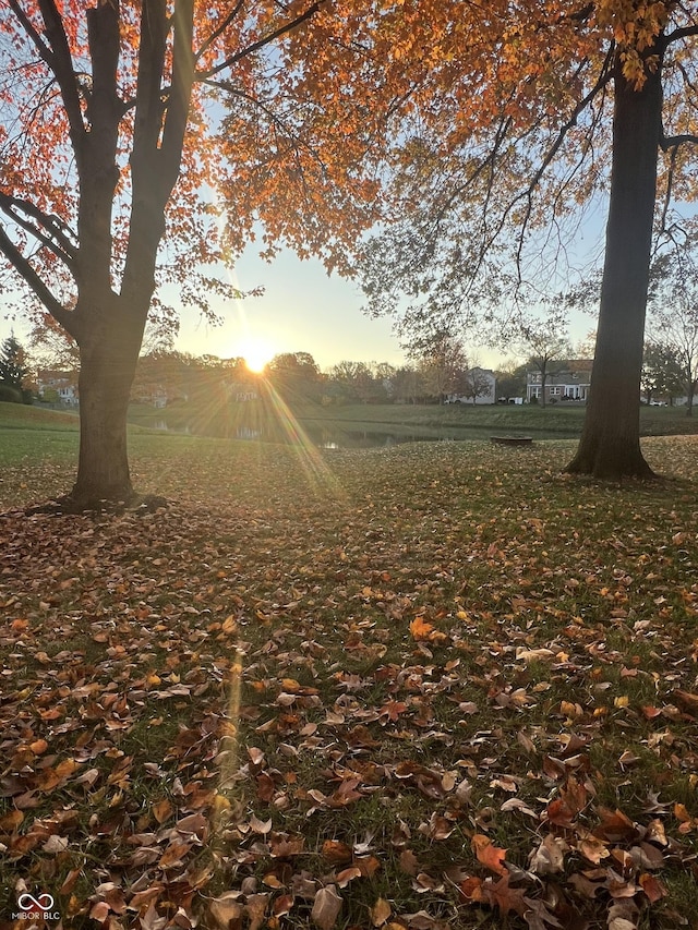 view of yard at dusk