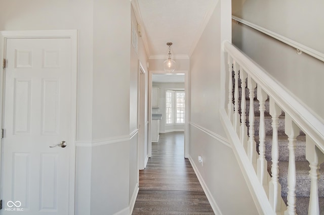 hall with dark hardwood / wood-style flooring and ornamental molding