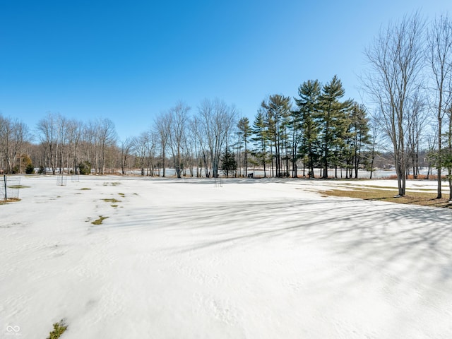 view of yard covered in snow