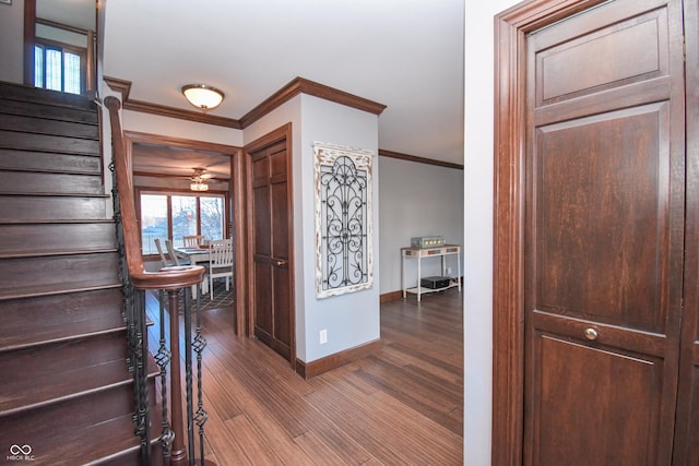 foyer entrance featuring hardwood / wood-style flooring and crown molding