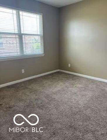 unfurnished room with carpet flooring