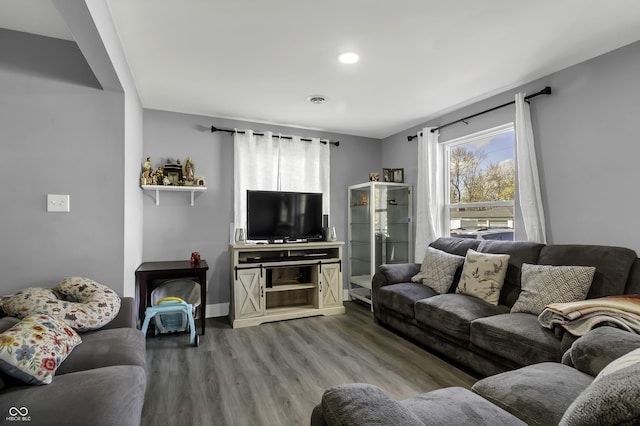 living room featuring hardwood / wood-style floors