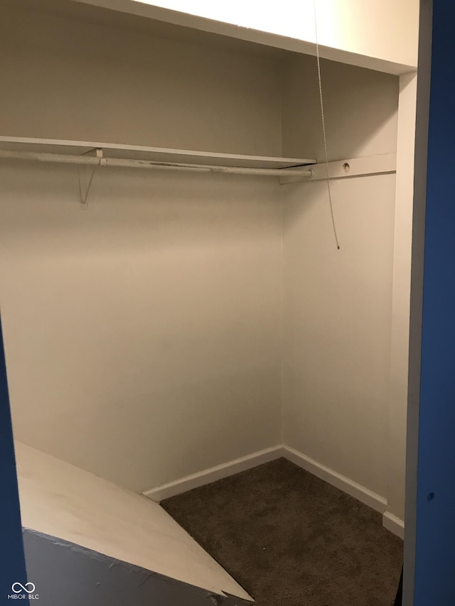 view of closet