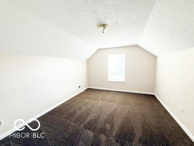 additional living space with lofted ceiling, a textured ceiling, and carpet floors