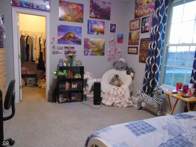 carpeted bedroom with a spacious closet and a closet