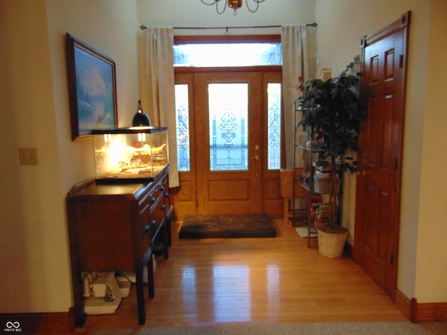 foyer entrance with wood-type flooring