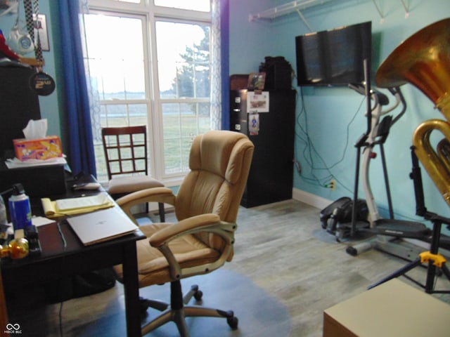 office space featuring hardwood / wood-style flooring