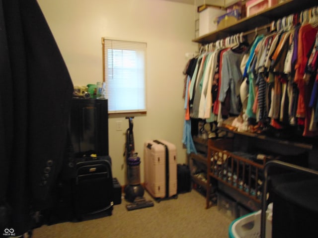 walk in closet featuring carpet flooring