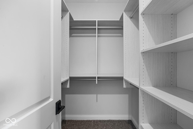 walk in closet featuring carpet floors