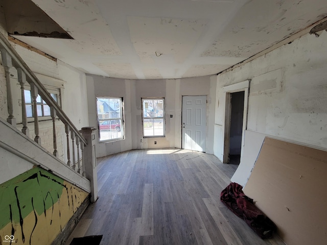 entryway with wood-type flooring