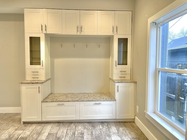 mudroom featuring a wealth of natural light