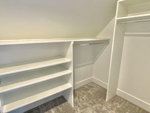 walk in closet with carpet floors