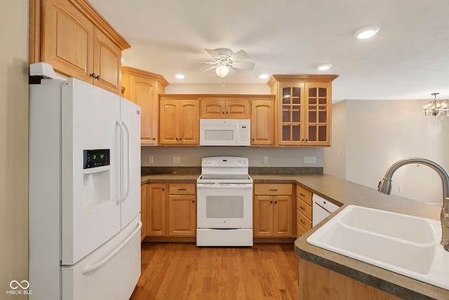 kitchen featuring white appliances, ceiling fan with notable chandelier, sink, light hardwood / wood-style flooring, and kitchen peninsula